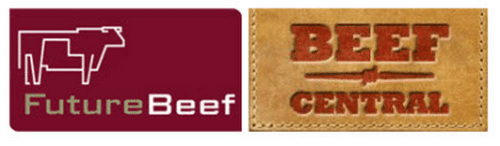 beefconnect_logo_200x58_px