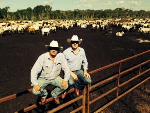 Frontier International's Mike Garland and Tony Gooden with a consignment of export cattle in Darwin.