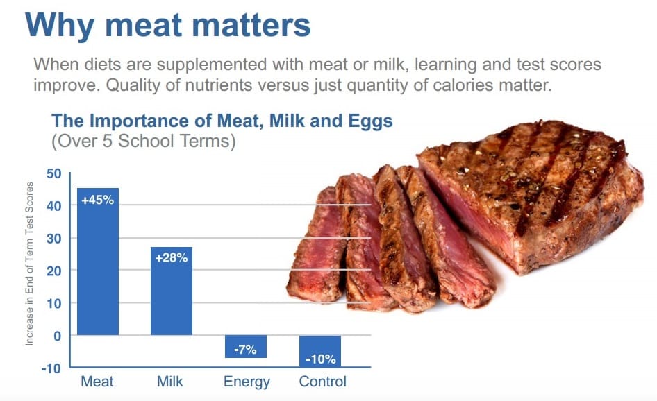 Why meat matters