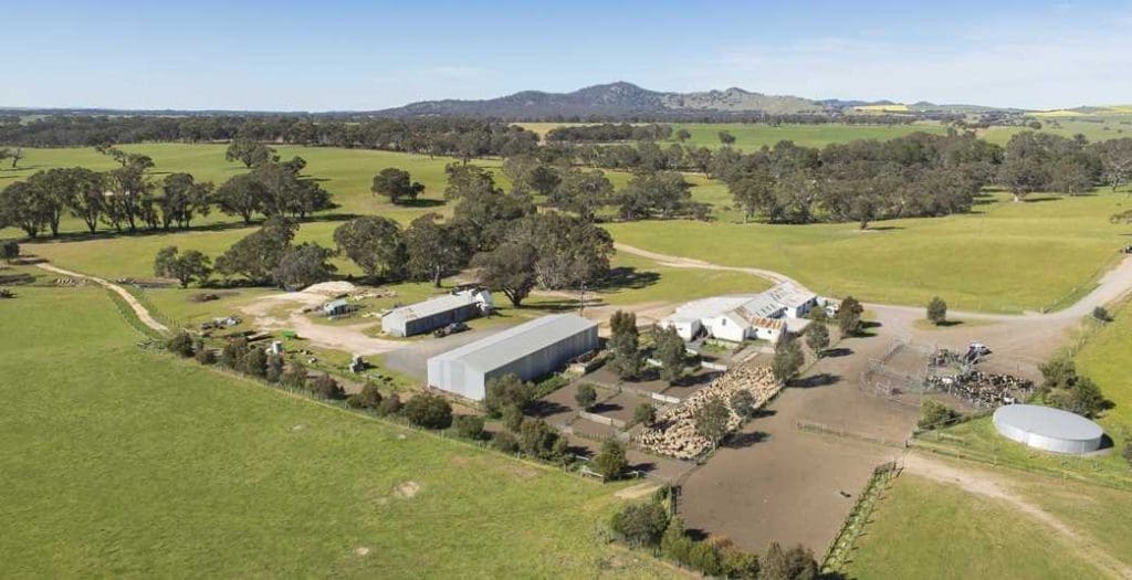 Aerial shearing shed and yards 05 1