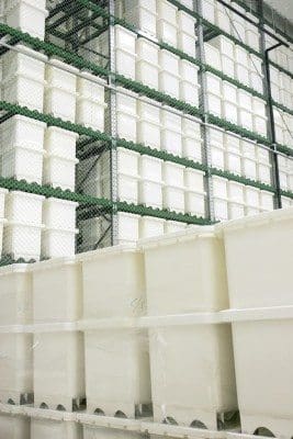 FoodCap capsules stacked for efficent storage and retrieval