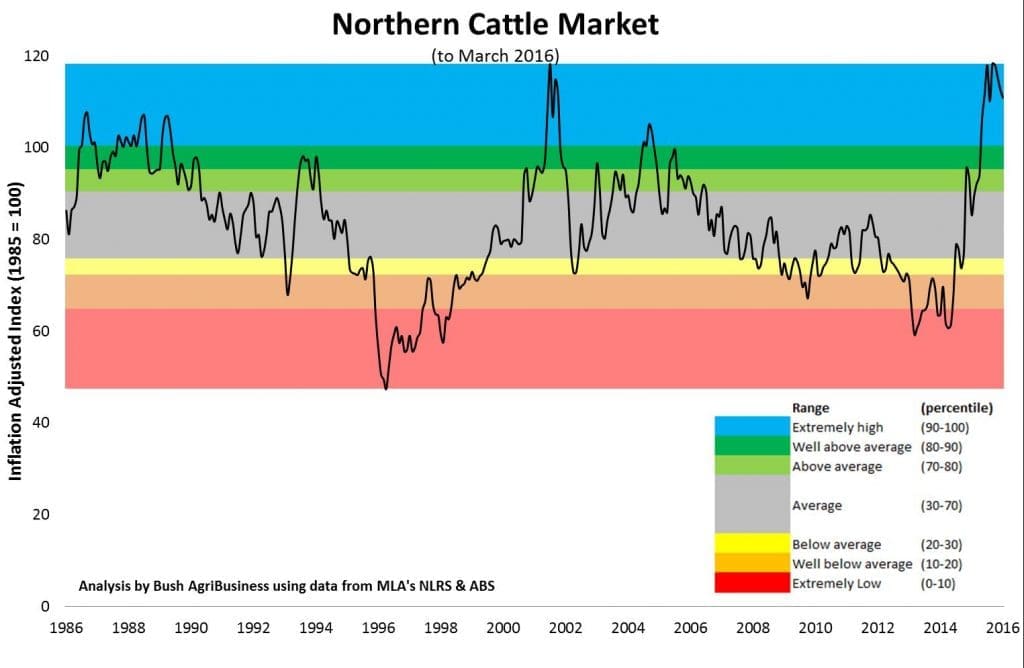 cattle stock market prices