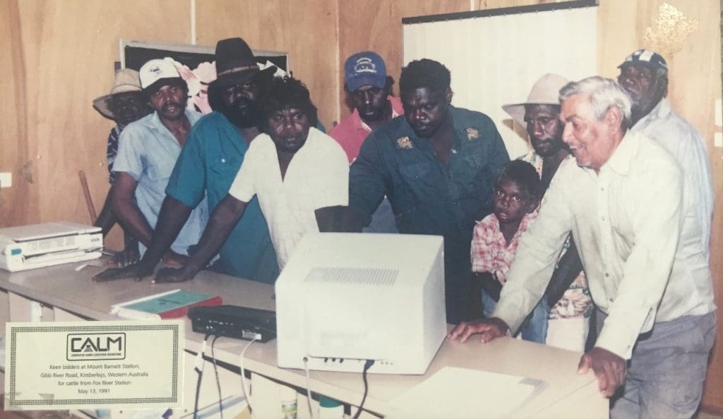 Watching a CALM auction unfold on remote Mt Barnett Station in the Kimberleys, 1991
