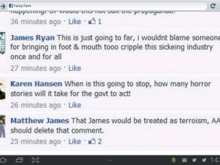 A screen shot of comments made about FMD on an Animals Australia's Facebook forum on Tuesday. Click on image below article to view in larger format.