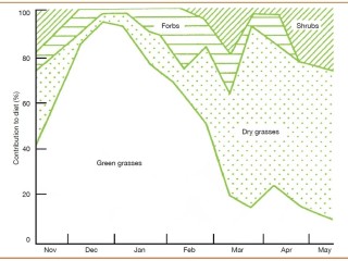 To view a larger version, click on image of this graph below story.