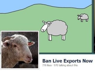 An anti-live export Facebook page established by NSW Greens senator Lee Rhiannon has become the latest social media flashpoint for debate between trade supporters and ban-advocates.
