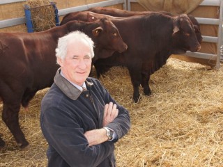 Don Heatley