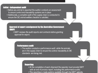 A diagram of the ESCAS audit process. Click on image below article to view in larger format.