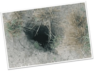 Ian Hansen says tens of thousands of open, unsealed explorations holes pose a significant threat to the future of underground fresh water resources as coal seam gas production ramps up.
