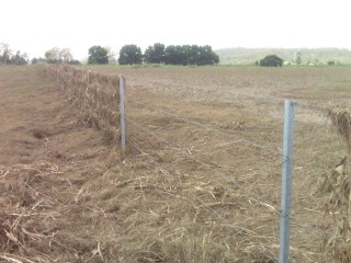 Flood debris left on the intact Widgee Crossing Mary River frontage fences after the record January flood event