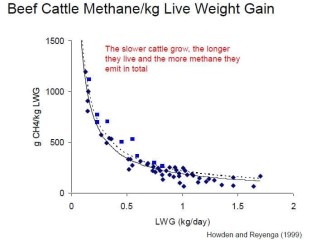 To view this graph in larger detail, click on image at bottom of page