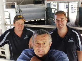 Prostock principal Kym Endersby (front) with his sons Clint and Scott at the Mount Compass saleyards south of Adelaide.
