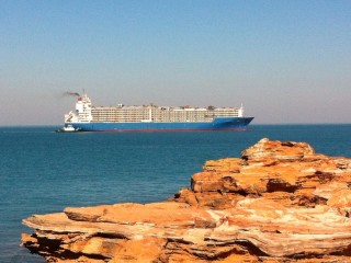 Egyptian authorities have halted the slaughter of a shipment of Australian cattle, which was the first consignment of livestock to be exported aboard the recently converted MV Nada, the world's largest single tier livestock carrier.