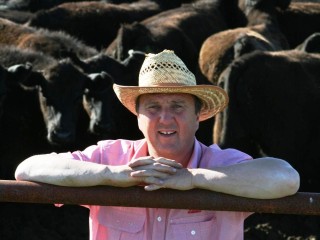 Peter Rollason, Elders AuctionsPlus manager for the southern and western zone, with the Watervalley cattle last week.