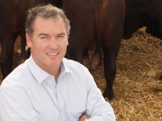 MLA managing director Scott Hansen