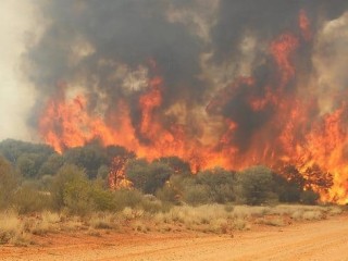 Part of the blaze that burned an estimated 80,000 acres (35,000 hectares) west of Thargomindah last weekend. Picutre: Belinda Easton