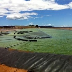 Pilot project algae pond
