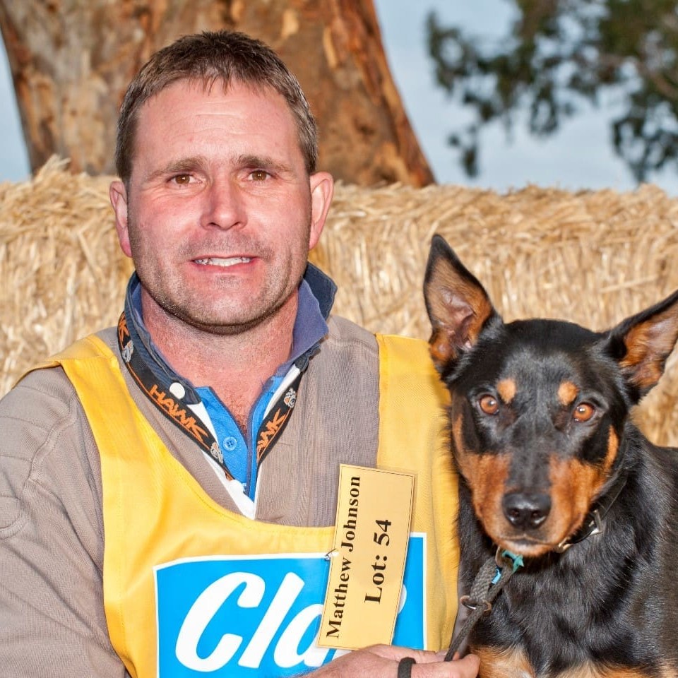 Vendor Matthew Johnson with his $10,500 Kelpie Ben. Picture: Ann James.