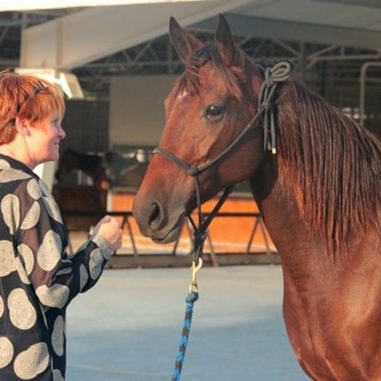 Jesse Blackadder with the Kimberley-bred brumby mare Timana, at the Seih Al Salam Stables in Dubai. Photo: Cassandra Haddad