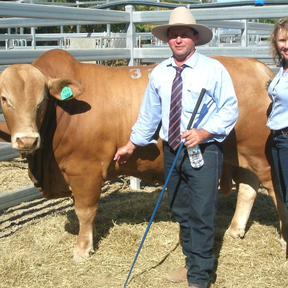 Brett & Leanne Warne, Jembrae Stud, Injune with Jembrae Farnham which sold at the National Droughtmaster sale for $30,000 to Glenlands, Bouldercombe.