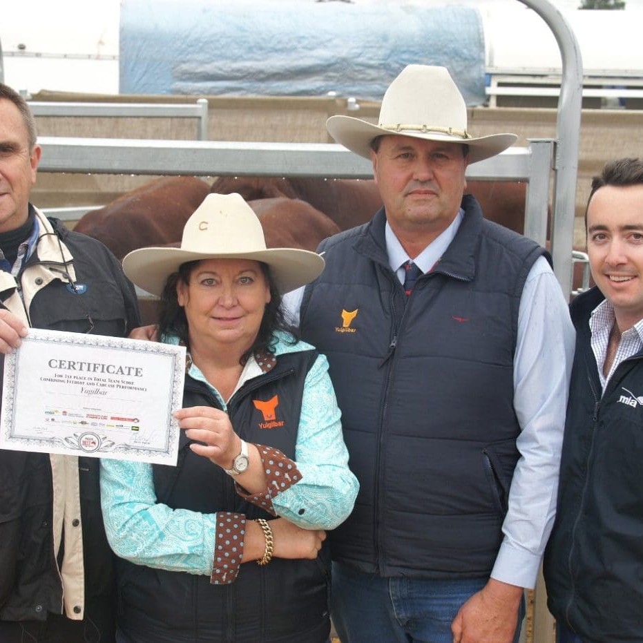 MSA class winners, Yulgilbar's Rob and Lorraine Sinnamon are congratulated by Maydan feedlot's Geoff Willett and MSA's Jake Phillips  