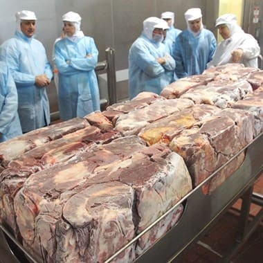 Frozen meat blocks being prepared for grinding at AFC