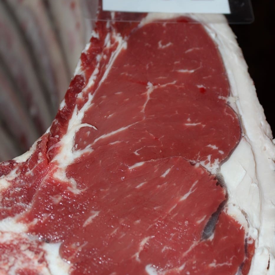 Eye muscle from Manchee family's highest scoring EU carcase