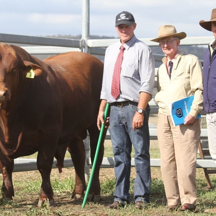 Pictured with the $36,000 Hardigreen Park Omega are Scott Ferguson, vendor Moreton Rolfe, Hardigreen Park, and buyer, Ben Adams, Dangarfield, Taroom. 