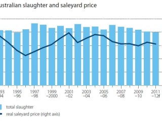 Australian slaughter rate and saleyard price comparisons 1993-2011. Click on image below article to view chart  in larger format.
