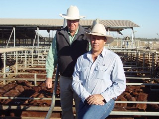 Landmark's Senior Livestock Manager Roma, Rod Turner, with Australian Agricultural Company's General Manager, Michael Spencer, at the AACo's Roma Special Store Sale on Friday. Picture: Martin Bunyard