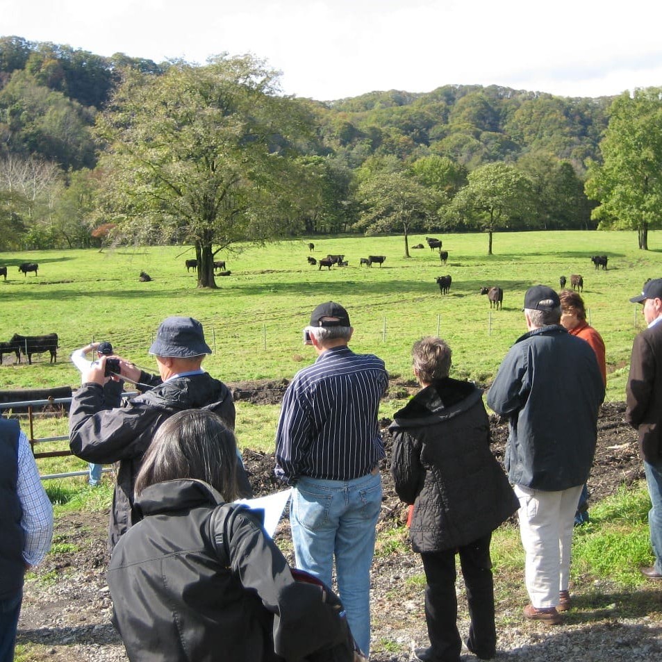 The film crew visited Shogo mTakeda's farm in rural Japan to learn more about the origins of Wagyu beef