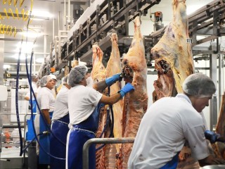 An underutilisation of boning room capacity in China is fuelling increased demand for carcase beef from Australia.