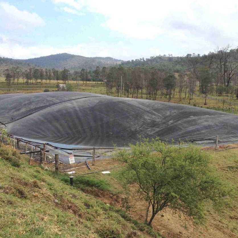 Covered methane gas collecting settlement ponds used as part of the AJ Bush biogas project