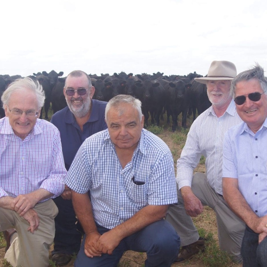 Pictured during the recent Angus Pure supply chain visit were from left Peter Trahar, CAAB chairman; Angus Pure program cattle supplier Anthony Swann, Meningie; Peter Bond, livestock manager at TFI Murray Bridge; Phil Morley, CAAB chief executive; and Michael Gadd, AA president.