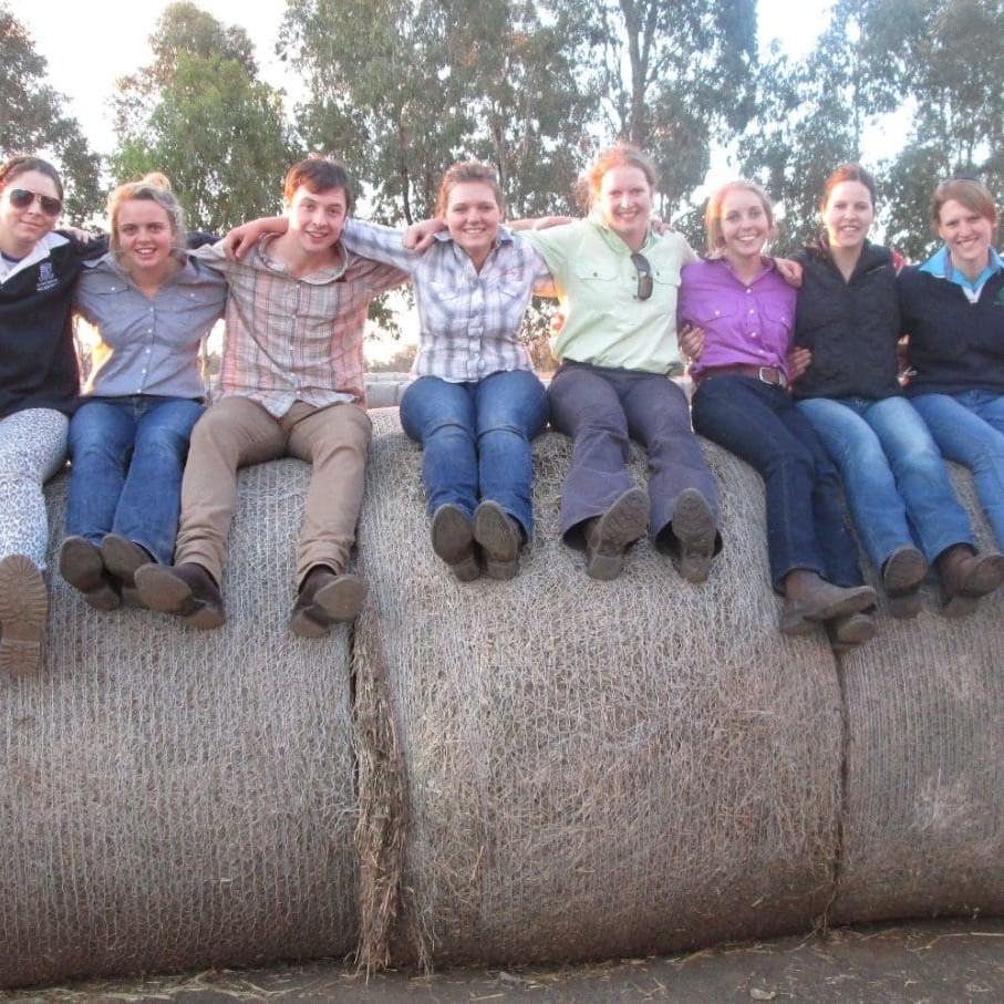 The 2012 finalists for the ICMJC pictured during a visit to Kerwee feedlot near Jondaryan on Queensland's Darlnig Downs