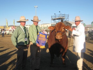 Martin Pentecost, Landmark Rockhampton branch manager and Richard Norton, Landmark general manager, congratulate Jason Childs, Glenlands Droughtmaster, Bouldercombe on winning the Beef 2012 interbreed championship with Glenlands Prince. 