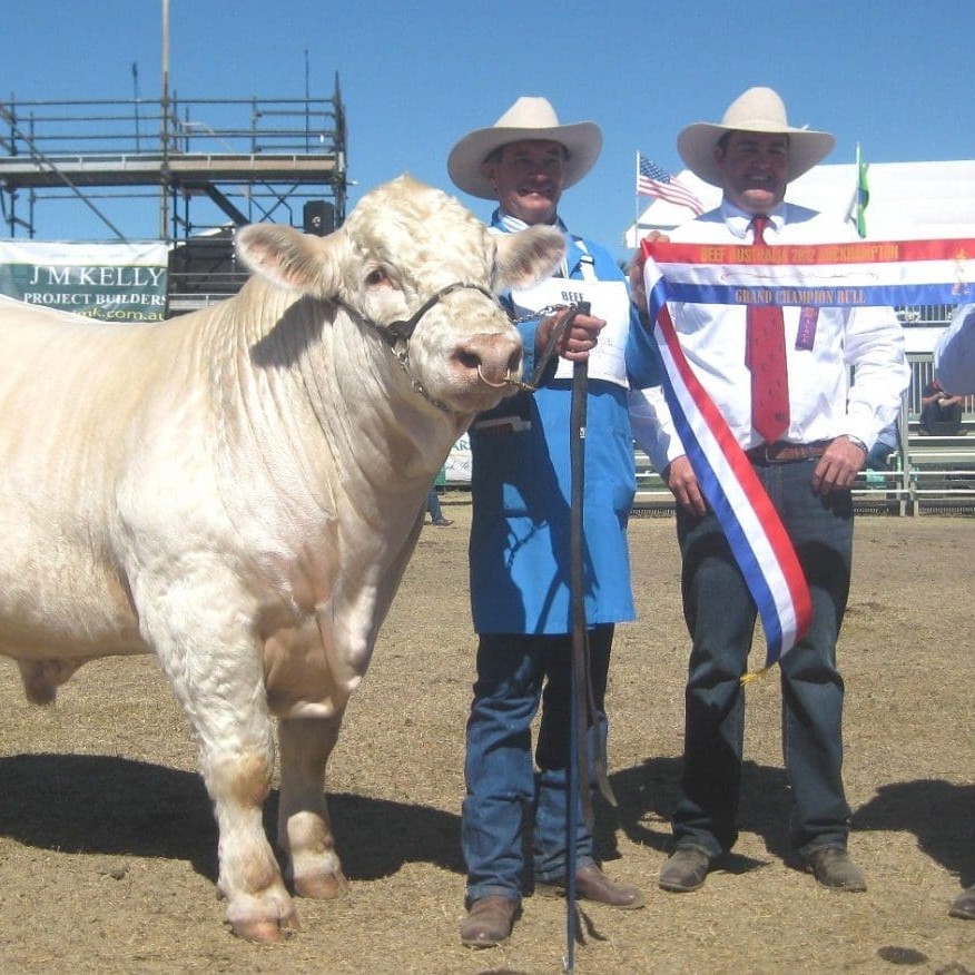 Sashing the grand champion Charolais bull, Palgrove Formula, at Beef 2012 were from left, exhibitor David Bondfield, Palgrove stud, Dalveen, Qld; judge Spencer Morgan, The Grove, Condamine; and Ross Sticklen, Lilydale Charolais, Helidon.