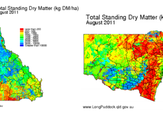 Pasture biomass maps showing total standing dry matter during August 2011. To view in larger format click on image below article.