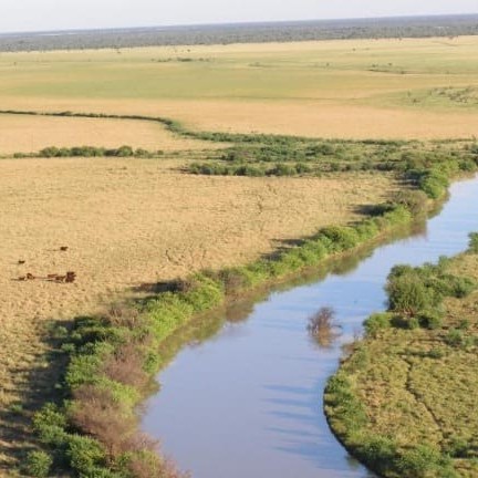 Bowen Downs aggregation, comprising about 51,000ha of central western Qld downs country, has changed hands for about $10 million