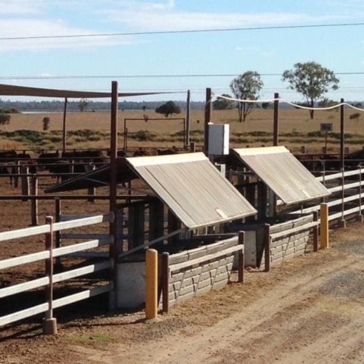 The GrowSafe feed efficiency testing station at AA Co's Goonoo feedlot 