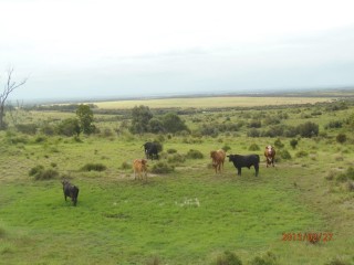 The site of a future electricity substation on Bulah and a series of 275 kv electricity transmission lines.	