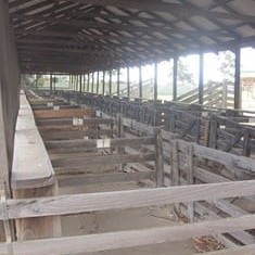 Disused calf saleyard at Harvey, WA