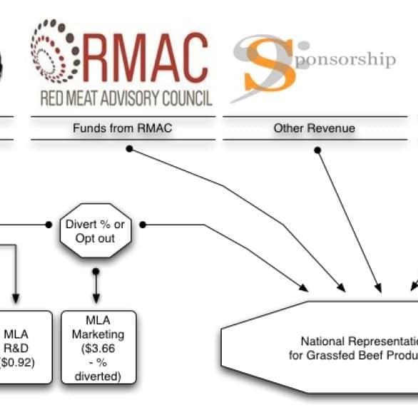 A diagram showing how a draft restructure model outlined by Cattle Council of Australia yesterday would be funded.