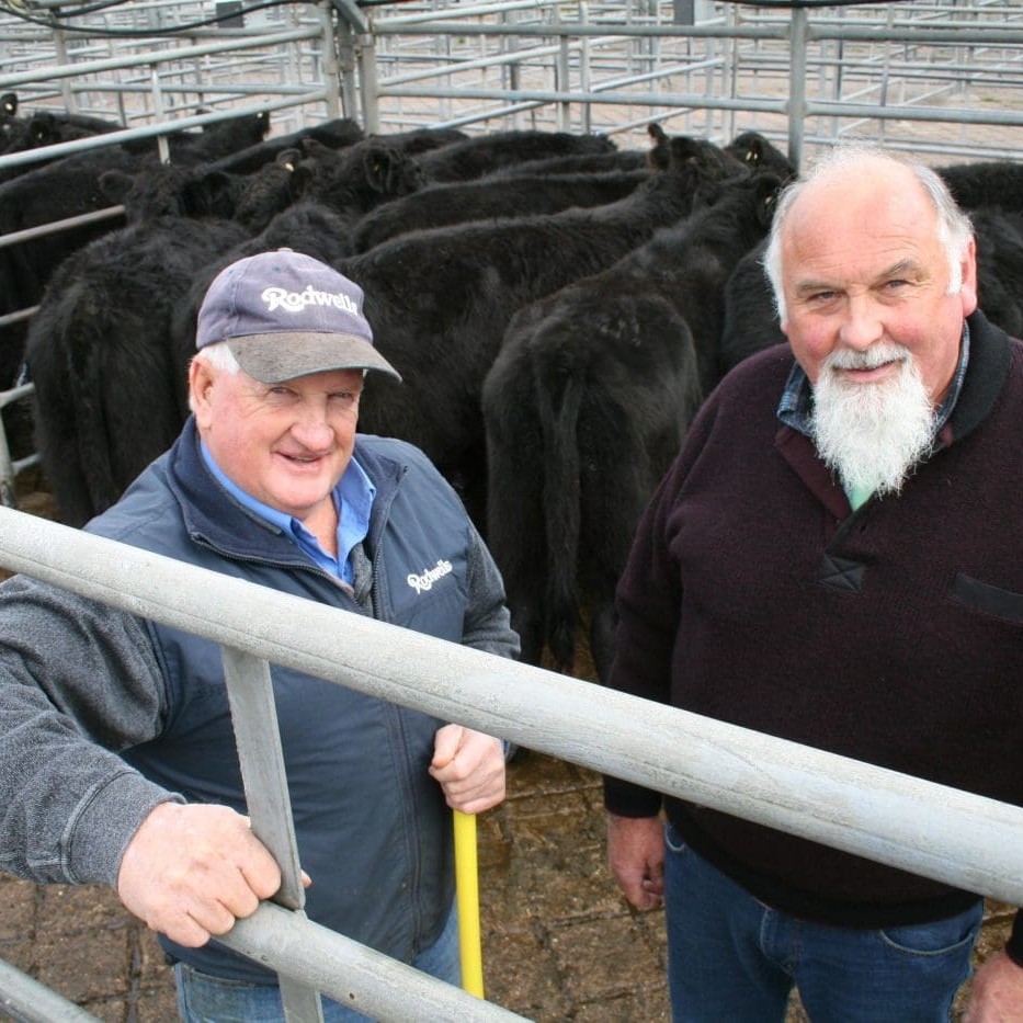Rodwells agent Don McMillan with client John Chown, who sold this pen of weaner heifers for $575 at Sale, Victoria, on Friday.