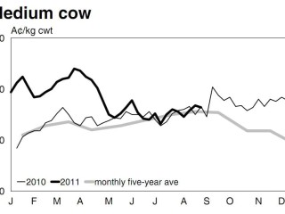 Medium cow prices. Source: Meat and Livestock Australia. To view in larger format click on graph at bottom of article.