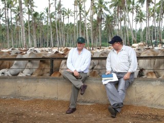 CPC chairman Ken Warriner and joint venture feedlot manager Greg Pankhurst pictured during an earlier visit to facilities in Indonesia 