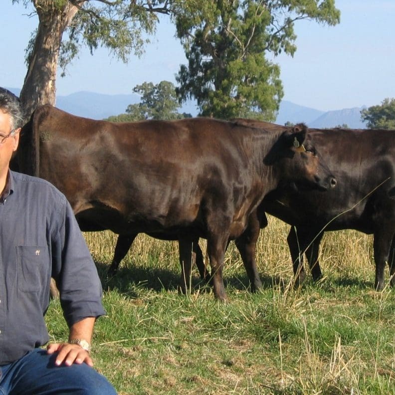 David Blackmore with Fullblood Wagyu on his Alexandra (Vic) property