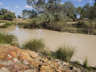 The Diamantina River is one of three inland Queensland rivers that were included Wild River declarations by the State Government last weekend..