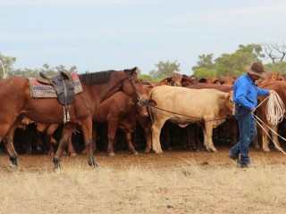 Access to stock routes is stirring debate as dry conditions intensify.