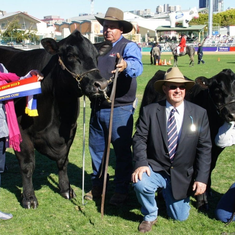David, Jill and Andrew Raff are bidding farewell to show-ring competition, after a three year campaign to showcase the genetic merit in northern Angus cattle  